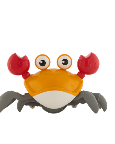 MUSICAL CRAB