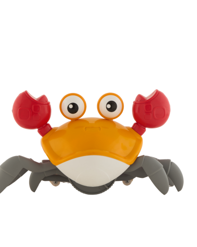 MUSICAL CRAB